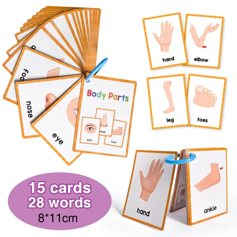 Cartes pour apprendre l'anglais