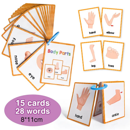 Cartes pour apprendre l'anglais