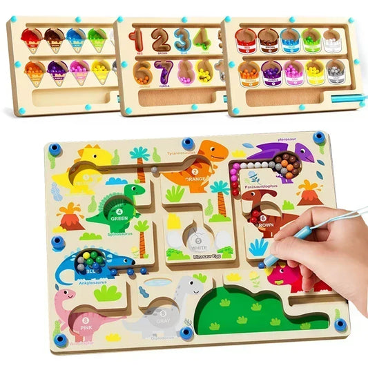 Montessori Magnetic tri des couleur